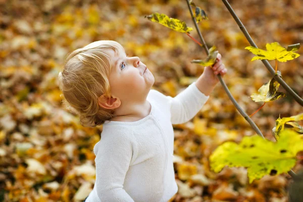 蹒跚学步小孩在秋天公园 — 图库照片