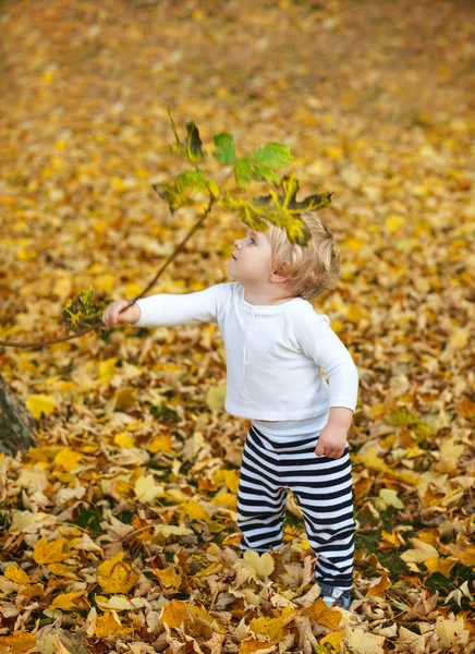 Menino no parque de outono — Fotografia de Stock