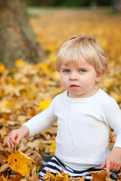 Mały chłopiec maluch bawi w parku jesień — Zdjęcie stockowe