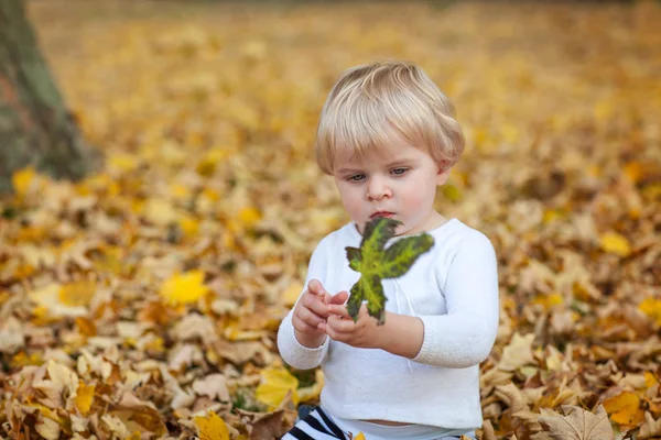 Маленький мальчик играет в осеннем парке — стоковое фото