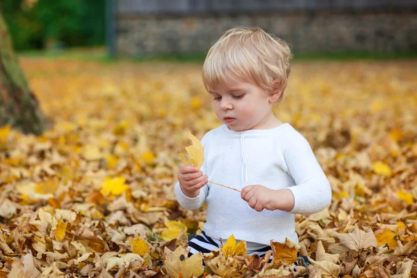 Menino criança brincando no parque de outono — Fotografia de Stock