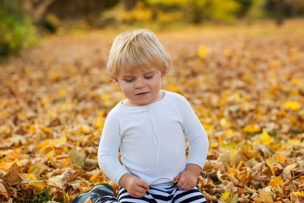 Little toddler boy playing in autumn park — Stock Photo, Image