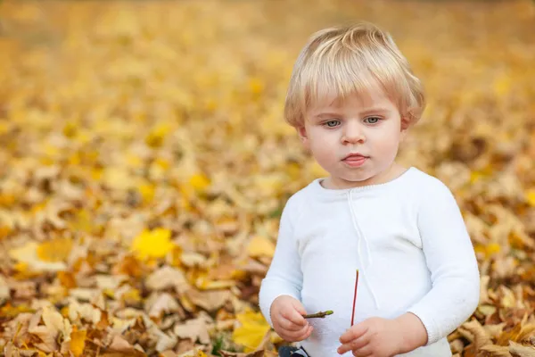 Little toddler boy playing in autumn park — Stock Photo, Image