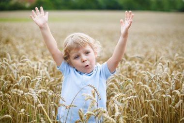 Eğleniyor buğday alanında yaz aylarında mutlu çocuk