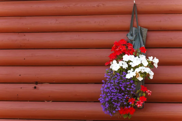 Arrangement de fleurs sur fond en bois rouge — Photo