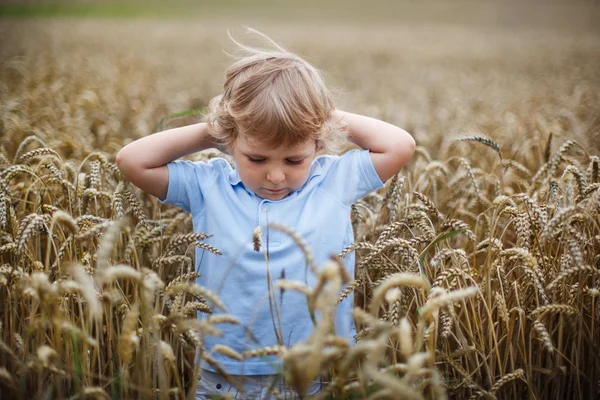 Menino feliz se divertindo no campo de trigo no verão — Fotografia de Stock