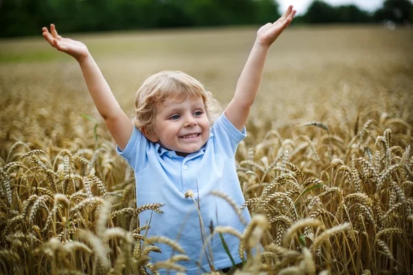 Feliz niño divirtiéndose en el campo de trigo en verano —  Fotos de Stock