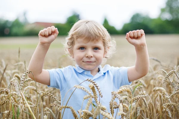 Happy little boy having fun in wheat field in summer — Stock Photo, Image