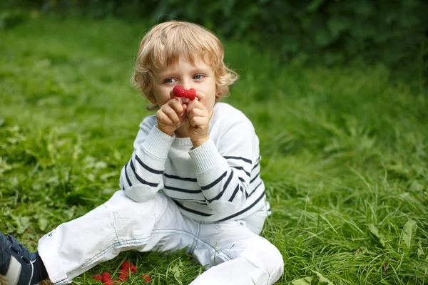 Liten pojke med färska hallon på organiska själv plocka gård — Stockfoto