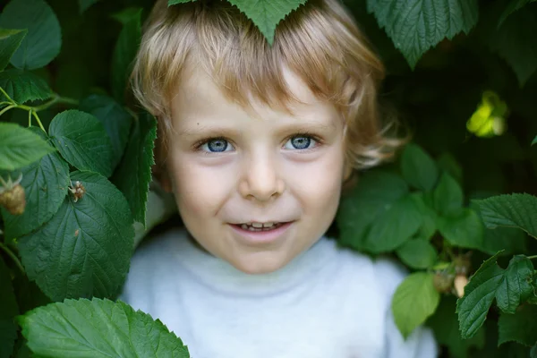 Kleiner Junge mit frischen Himbeeren auf Bio-Selbstpflückfarm — Stockfoto