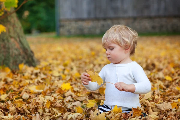 Kleine peuter jongen spelen in herfst park — Stockfoto