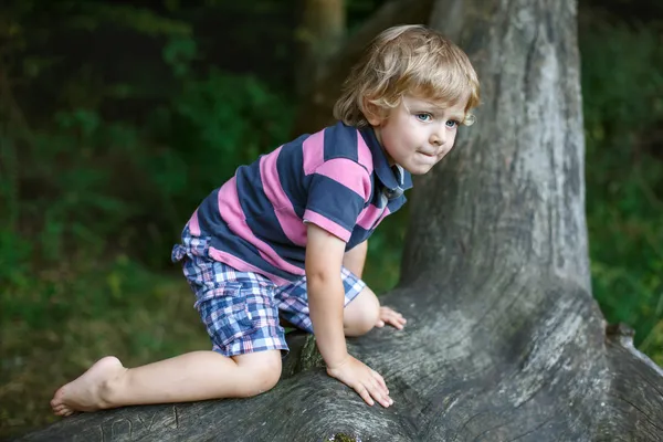 Lilla söta barn pojke att ha kul på träd i skogen — Stockfoto