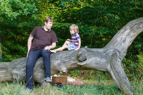Unga far och hans söta lilla son ha picknick på sommaren för — Stockfoto