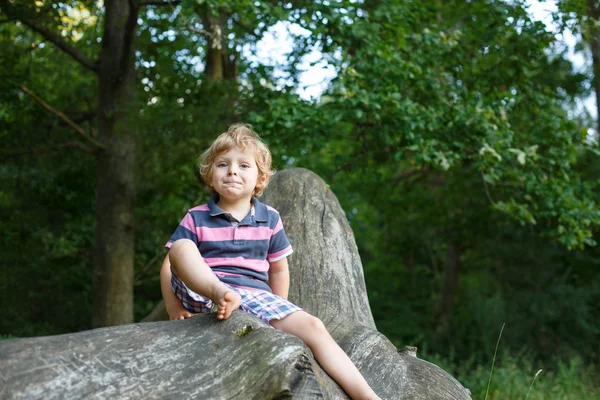 Little cute toddler boy having fun on tree in forest — Stock Photo, Image
