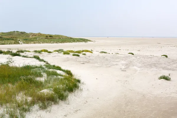 Duinen met wit zand, Noordzee, Duitsland — Stockfoto