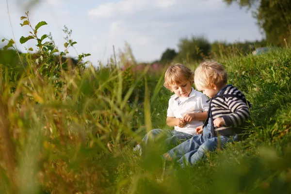 Zwei kleine Bruder Jungen spielen in der Nähe des Waldsees auf sommerlichen eveni — Stockfoto
