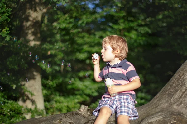 Chlapeček roztomilé batole hraje s mýdlovými bublinami v lese — Stock fotografie