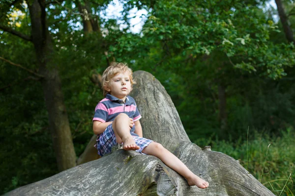 Little cute toddler boy having fun on tree in forest — Stock Photo, Image