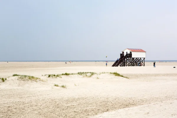 Sanddyner med vit sand, Nordsjön, Tyskland — Stockfoto