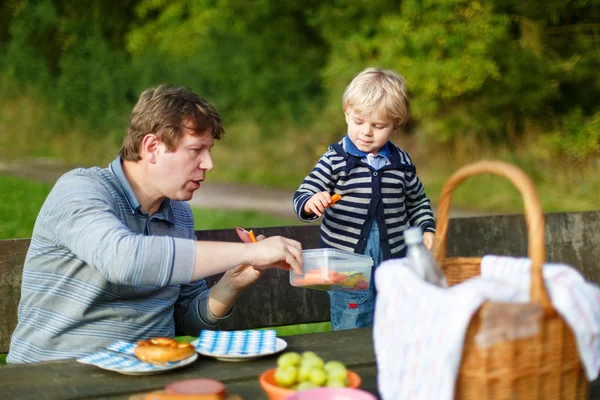 Unga far och liten pojke picknick i parken — Stockfoto