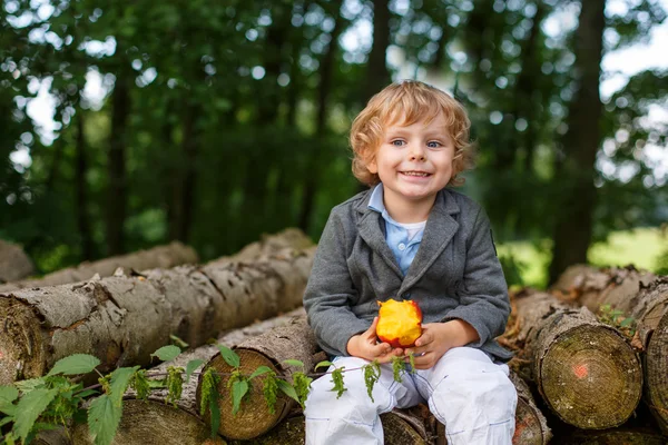 Piccolo bambino che mangia mela nella foresta estiva — Foto Stock