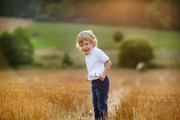 Netter blonder kleiner Junge hat Spaß auf gelbem Heufeld — Stockfoto