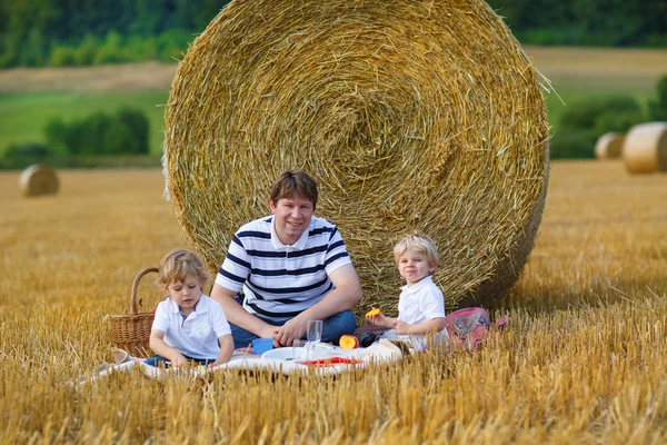 Young father and two little toddler boys picnicking on yellow ha — Stock Photo, Image