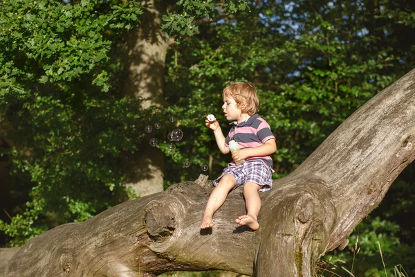 Pouco bonito menino criança brincando com bolhas de sabão na floresta — Fotografia de Stock