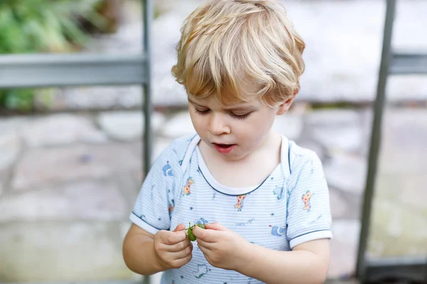 Mały chłopiec maluch bawi w ogrodzie. — Zdjęcie stockowe