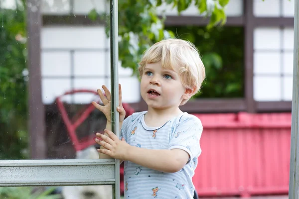 Chlapeček batole hraje v letní zahradě. — Stock fotografie