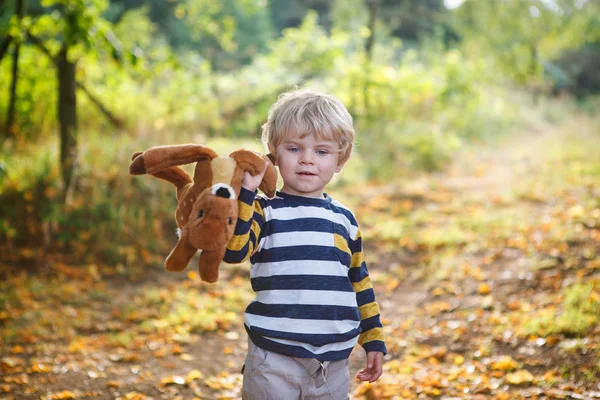 Liten blond pojke på två år i höst skog. — Stockfoto