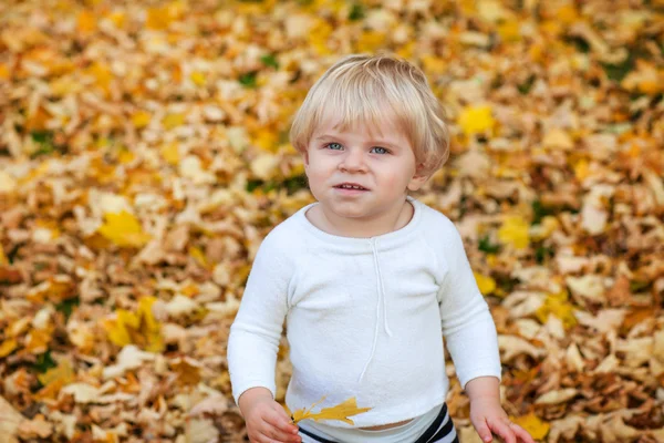 Lilla barn pojke spelar i höst park — Stockfoto