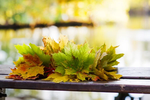 En färgglad krans av hösten lämnar av lönn. — Stockfoto