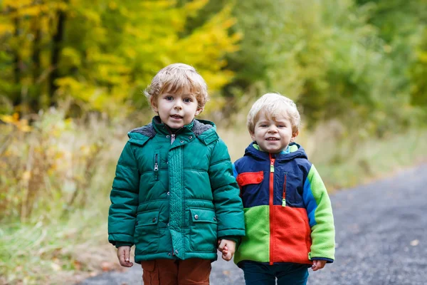 Dois meninos irmãos caminhando pela floresta de outono — Fotografia de Stock