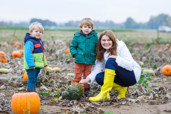 Mother and two little sons having fun on pumpkin patch. — Stock Photo, Image