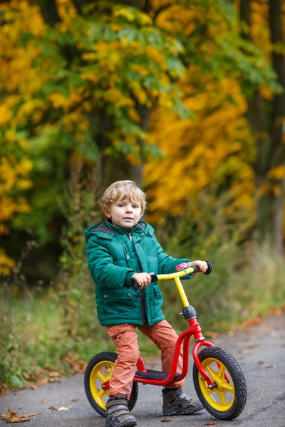 Cute preschool boy of three years riding bike in autumn forest — Stock Photo, Image