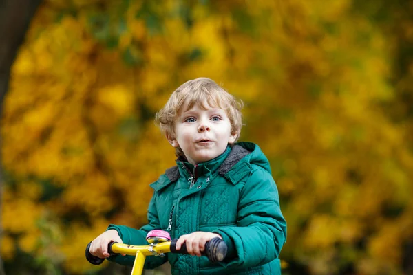 Portrait of little boy in autumn park with yellow foliage. — Stock Photo, Image