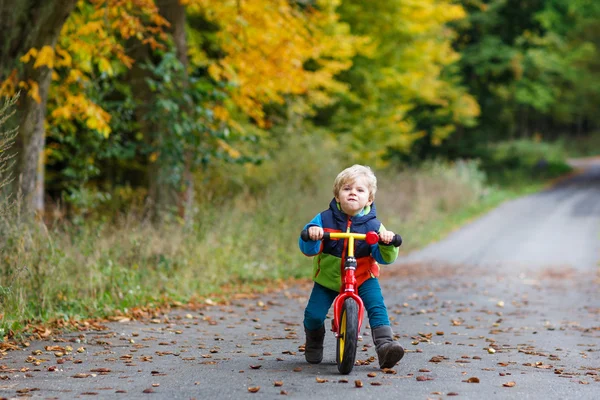 秋の森の自転車に乗って二歳のかわいい幼児男の子 — ストック写真