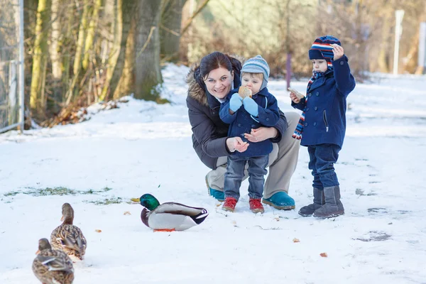 Matka i dwóch małych chłopców rodzeństwo karmienie kaczek w zimie. — Zdjęcie stockowe
