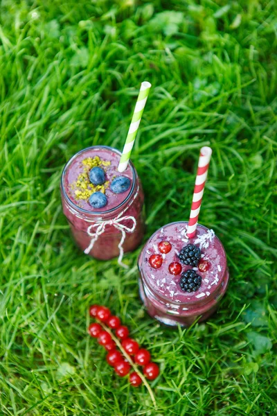 Fresh smoothie drink with different berries as healthy breakfast — Stock Photo, Image
