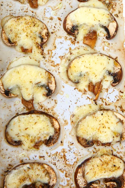 Grilled slices of mushrooms with mozarella cheese — Stock Photo, Image