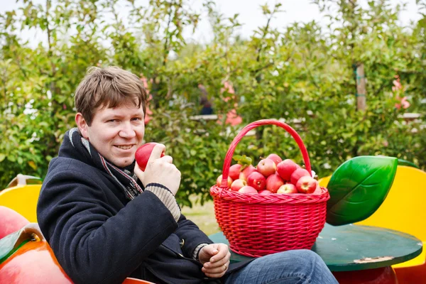 Young man eating red apples in an orchard — Stock Photo, Image