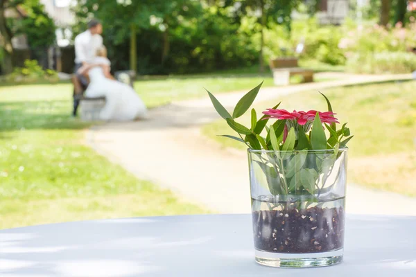 Svatební kytice z růží na venkovní obřad . — Stock fotografie