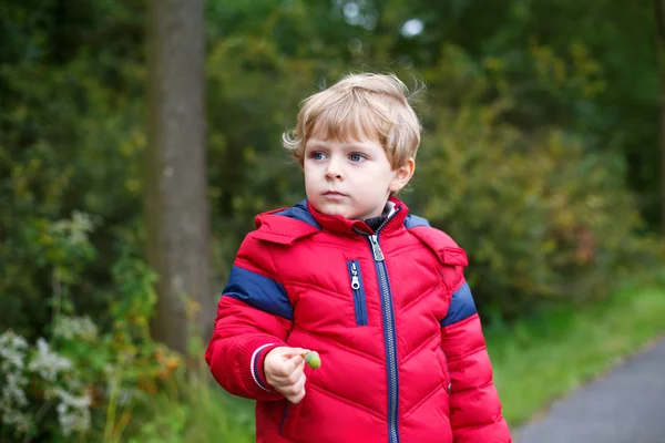 Beautiful toddler boy in red clothes — Stock Photo, Image