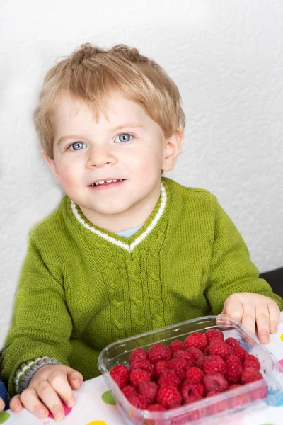 吃新鲜树莓的金色头发可爱的蹒跚学步的男孩 — 图库照片