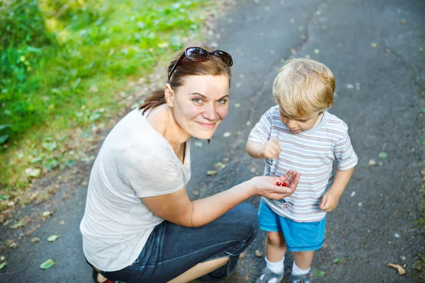 Giovane madre e piccolo bambino ragazzo mangiare bacche selvatiche in fores — Foto Stock