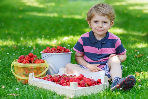 幸せな幼児の少年はバケツが熟した s の夏の庭 — ストック写真