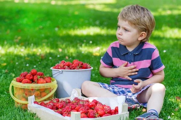 Happy little toddler boy in summer garden with buckets of ripe s — Stock Photo, Image