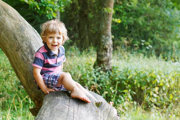 Lilla söta barn pojke att ha kul på träd i skogen — Stockfoto