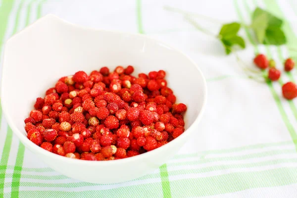 Fresh ripe wild strawberries in white bowl as healthy food — Stock Photo, Image